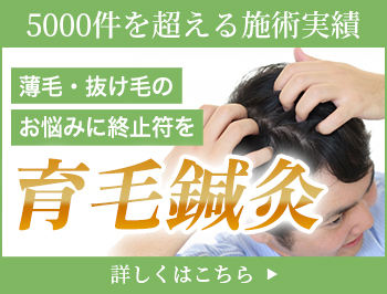 育毛鍼灸